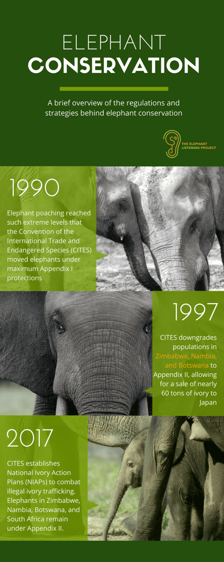 Brief History of Conservation – Elephant Listening Project